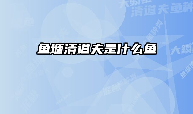 鱼塘清道夫是什么鱼