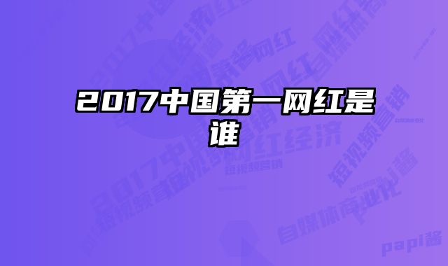 2017中国第一网红是谁