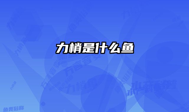 力梢是什么鱼 
