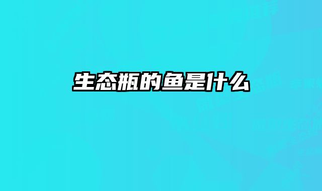 生态瓶的鱼是什么