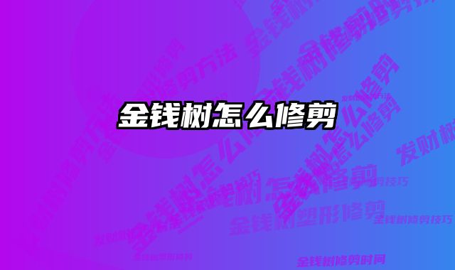 金钱树怎么修剪