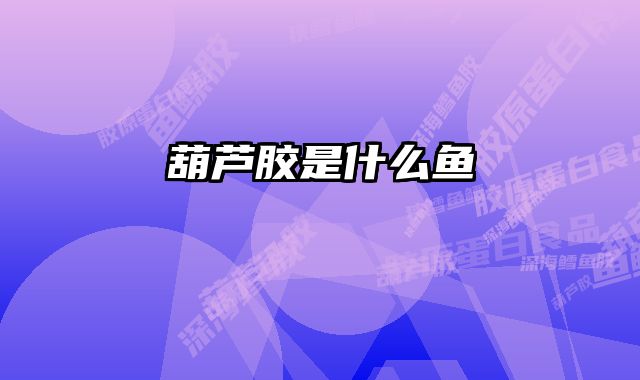 葫芦胶是什么鱼