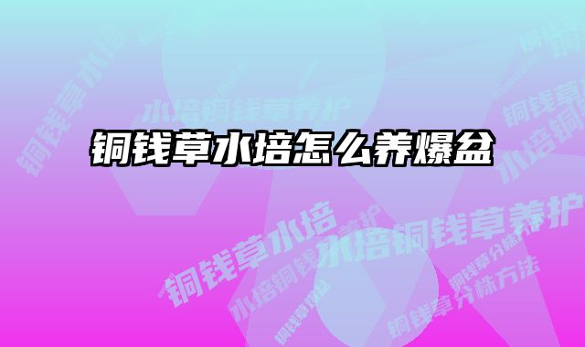 铜钱草水培怎么养爆盆