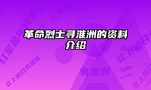 革命烈士寻淮洲的资料介绍