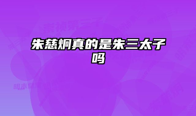 朱慈炯真的是朱三太子吗
