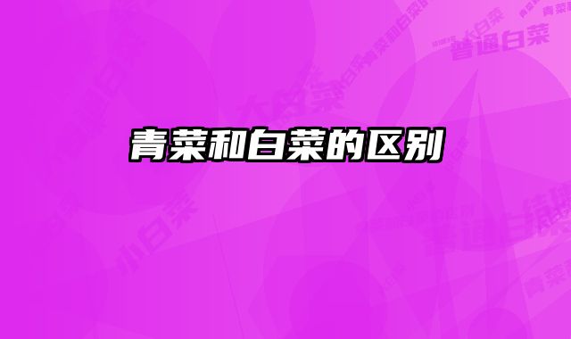 青菜和白菜的区别