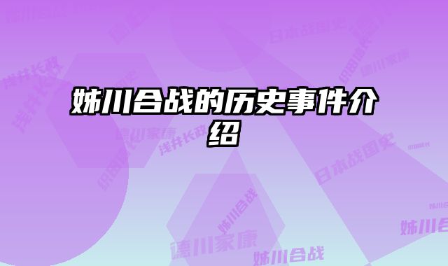 姊川合战的历史事件介绍