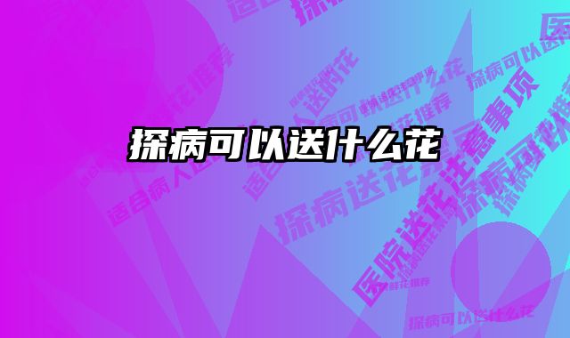 探病可以送什么花