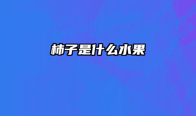 柿子是什么水果 