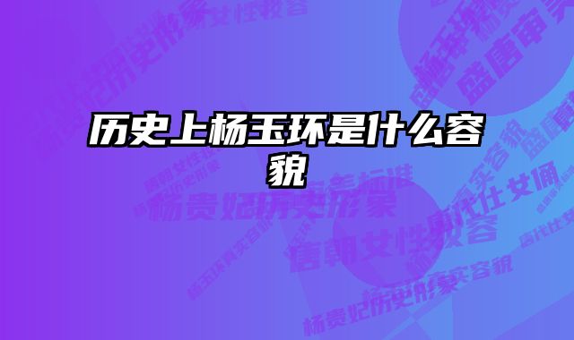 历史上杨玉环是什么容貌 