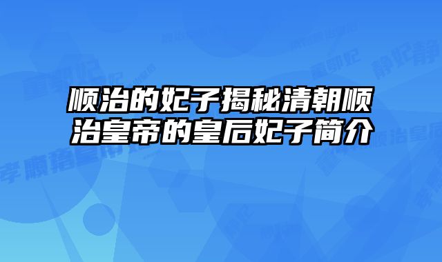 顺治的妃子揭秘清朝顺治皇帝的皇后妃子简介