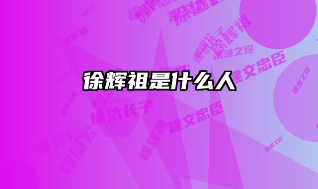 徐辉祖是什么人 