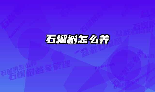 石榴树怎么养