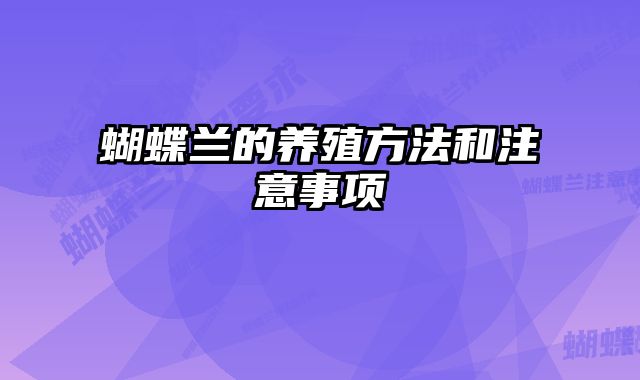蝴蝶兰的养殖方法和注意事项 