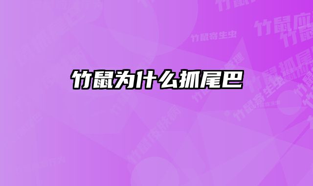 竹鼠为什么抓尾巴 