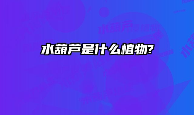 水葫芦是什么植物? 