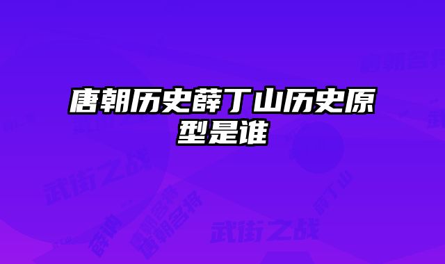 唐朝历史薛丁山历史原型是谁