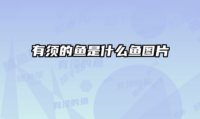 有须的鱼是什么鱼图片 