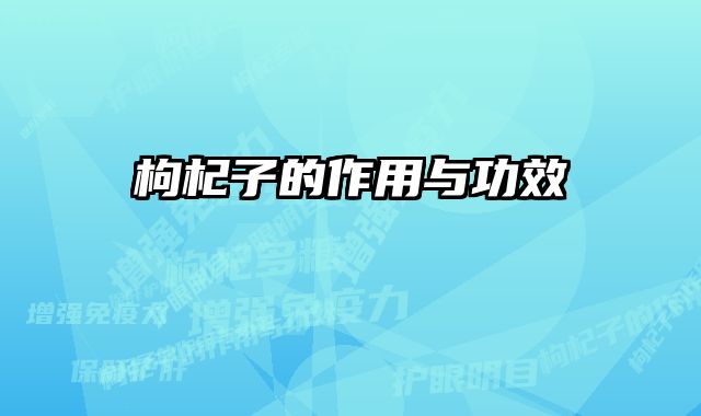 枸杞子的作用与功效 