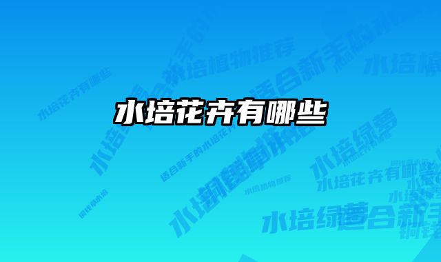 水培花卉有哪些 