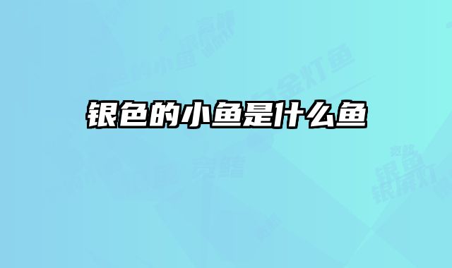 银色的小鱼是什么鱼