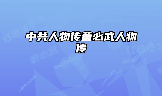 中共人物传董必武人物传 