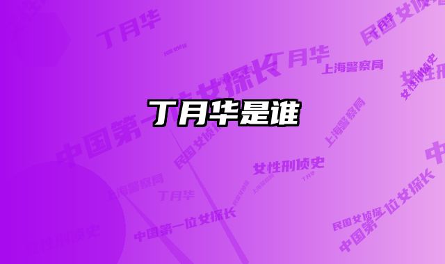 丁月华是谁 