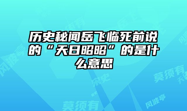 历史秘闻岳飞临死前说的“天日昭昭”的是什么意思