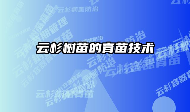 云杉树苗的育苗技术
