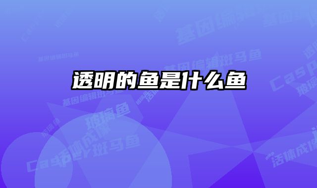 透明的鱼是什么鱼 