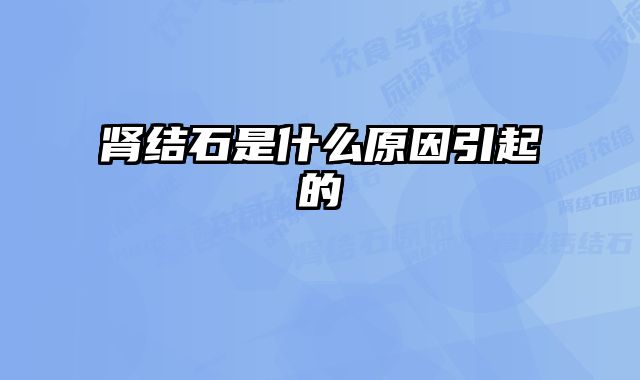 肾结石是什么原因引起的 