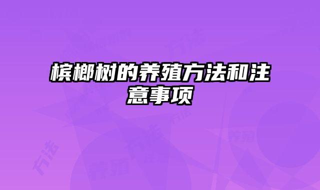 槟榔树的养殖方法和注意事项 