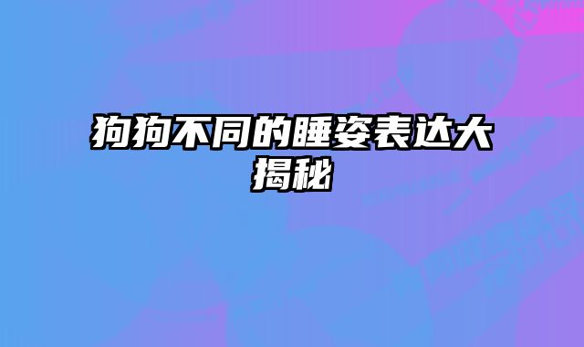 狗狗不同的睡姿表达大揭秘 
