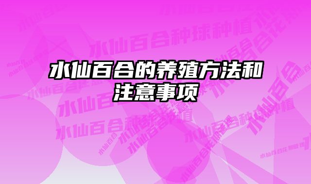 水仙百合的养殖方法和注意事项