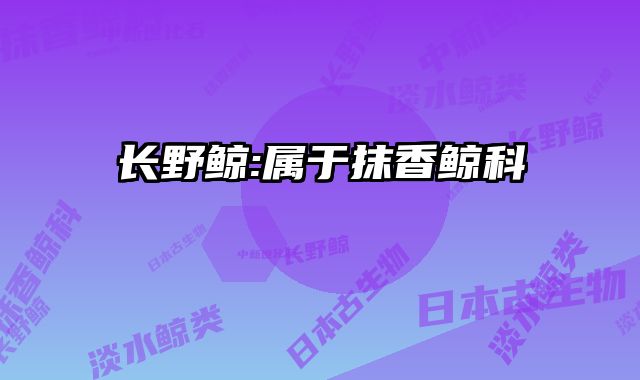 长野鲸:属于抹香鲸科 