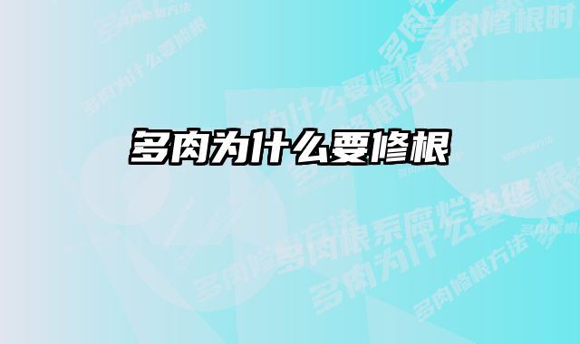 多肉为什么要修根 