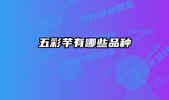 五彩芋有哪些品种 