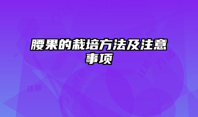 腰果的栽培方法及注意事项 
