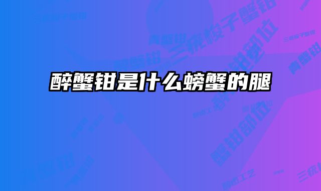 醉蟹钳是什么螃蟹的腿 