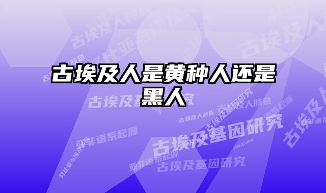古埃及人是黄种人还是黑人 