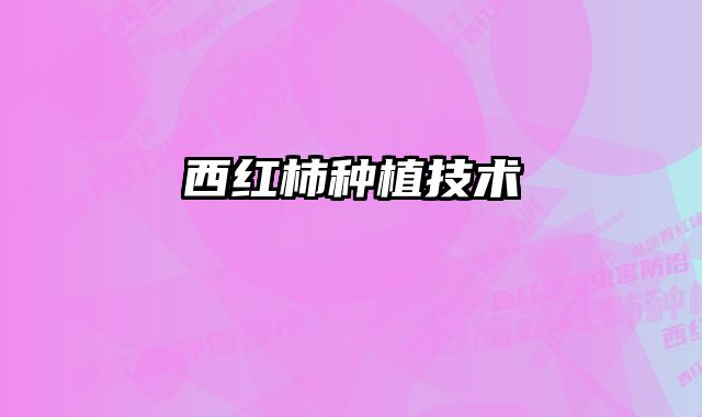 西红柿种植技术 