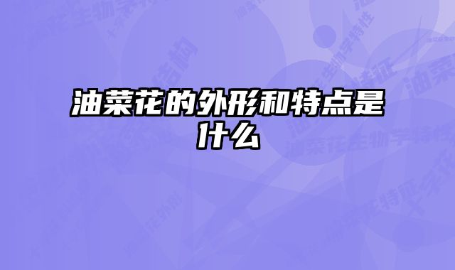 油菜花的外形和特点是什么 