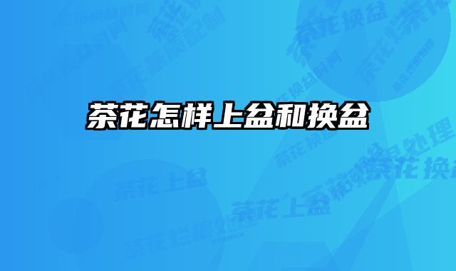 茶花怎样上盆和换盆 