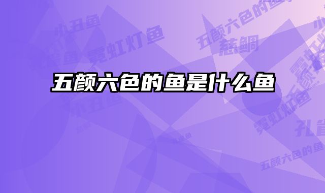 五颜六色的鱼是什么鱼