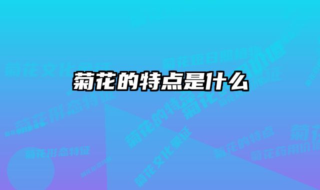 菊花的特点是什么