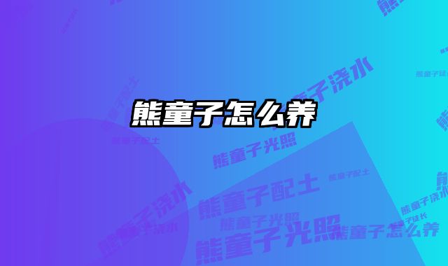 熊童子怎么养 
