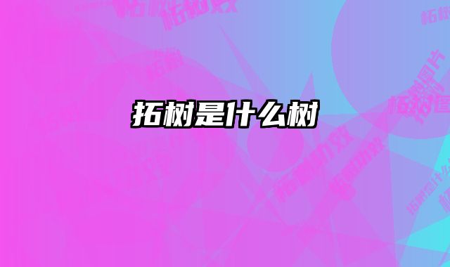 拓树是什么树 