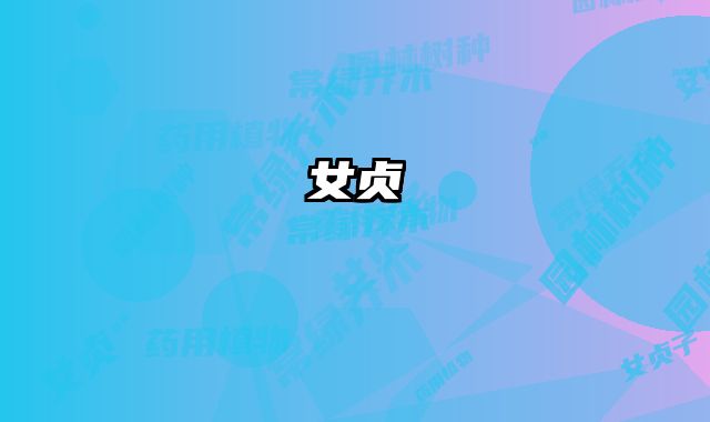 女贞 