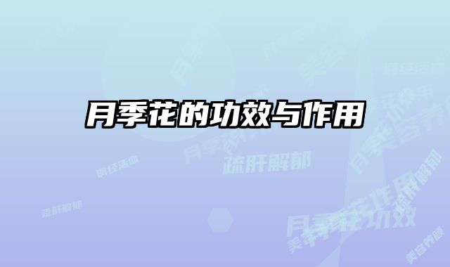 月季花的功效与作用