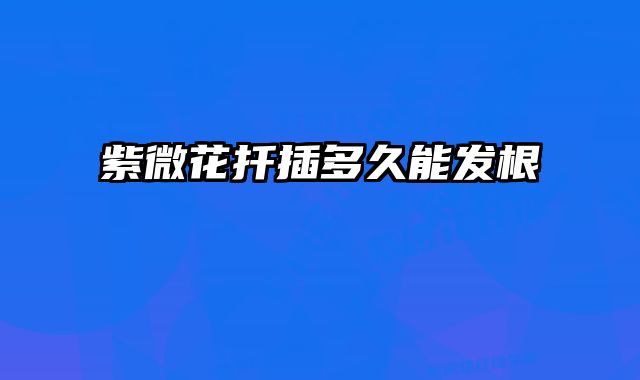 紫微花扦插多久能发根